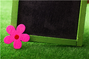 2025年雙證在職研究生授課方式