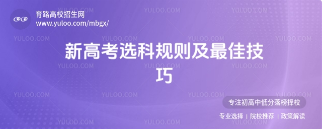 新高考選科規則及最佳技巧